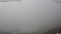 Archived image Webcam View Seekarspitz top station 05:00