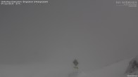 Archived image Webcam View Seekarspitz top station 23:00