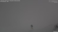 Archived image Webcam View Seekarspitz top station 01:00