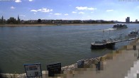 Archiv Foto Webcam Bonn - Brassert Ufer 11:00