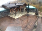 Archiv Foto Webcam Edelweissalm in Obertauern 08:00