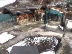 Archiv Foto Webcam Edelweissalm in Obertauern 09:00