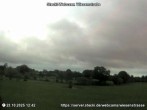Archiv Foto Webcam Delingsdorf Wiesenstraße 11:00