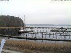 Archiv Foto Webcam Yachthafen Flensburg 11:00