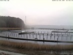 Archiv Foto Webcam Yachthafen Flensburg 15:00