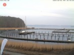 Archiv Foto Webcam Yachthafen Flensburg 07:00