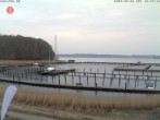 Archiv Foto Webcam Yachthafen Flensburg 11:00