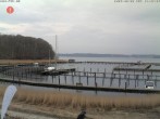 Archiv Foto Webcam Yachthafen Flensburg 13:00