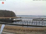 Archiv Foto Webcam Yachthafen Flensburg 15:00