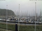 Archiv Foto Webcam Yachthafen Flensburg 11:00