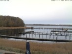 Archiv Foto Webcam Yachthafen Flensburg 07:00