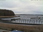 Archiv Foto Webcam Yachthafen Flensburg 10:00
