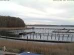 Archiv Foto Webcam Yachthafen Flensburg 11:00