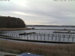 Archiv Foto Webcam Yachthafen Flensburg 12:00
