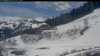 Archived image Webcam Oxenalm Hut - Donnersbachwald 11:00