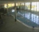 Archiv Foto Webcam Entdeckerbad Ostsee Resort Damp 15:00
