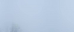 Archived image Webcam Loser - Panoramic Road 05:00