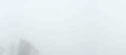 Archiv Foto Webcam Loser Alm - Panoramastraße 11:00