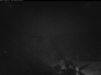 Archived image Webcam Bos-cha East 01:00