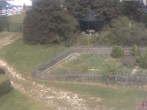 Archived image Webcam Hotel Angerhof in Sankt Englmar, Lower Bavaria 09:00