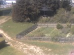 Archived image Webcam Hotel Angerhof in Sankt Englmar, Lower Bavaria 11:00