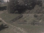 Archiv Foto Webcam Hotel Angerhof in Sankt Englmar, Niederbayern 23:00