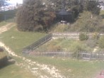 Archiv Foto Webcam Hotel Angerhof in Sankt Englmar, Niederbayern 08:00