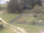 Archiv Foto Webcam Hotel Angerhof in Sankt Englmar, Niederbayern 12:00
