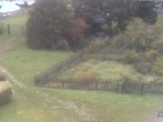 Archiv Foto Webcam Hotel Angerhof in Sankt Englmar, Niederbayern 08:00