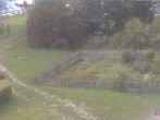 Archiv Foto Webcam Hotel Angerhof in Sankt Englmar, Niederbayern 15:00