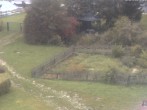 Archiv Foto Webcam Hotel Angerhof in Sankt Englmar, Niederbayern 07:00