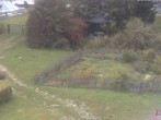 Archived image Webcam Hotel Angerhof in Sankt Englmar, Lower Bavaria 08:00