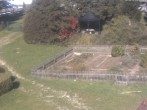 Archiv Foto Webcam Hotel Angerhof in Sankt Englmar, Niederbayern 09:00