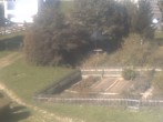 Archived image Webcam Hotel Angerhof in Sankt Englmar, Lower Bavaria 11:00