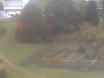 Archiv Foto Webcam Hotel Angerhof in Sankt Englmar, Niederbayern 15:00