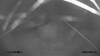 Archiv Foto Webcam Berggasthof Hochpröller in St. Englmar 03:00