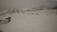 Archiv Foto Webcam Zuckerwiese Mariazeller Bürgeralpe 08:00