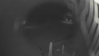Archiv Foto Webcam Bürgeralpe Mariazell Bergstation 01:00