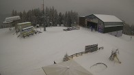 Archiv Foto Webcam Bürgeralpe Mariazell Bergstation 14:00