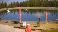 Archiv Foto Webcam Bürgeralpe Mariazell – WakeAlps 11:00