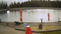 Archiv Foto Webcam Bürgeralpe Mariazell – WakeAlps 11:00