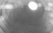 Archiv Foto Webcam Erlaufsee Mariazell 03:00