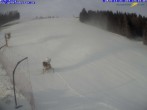 Archiv Foto Webcam Gemeindealpe Mitterbach 13:00