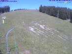 Archiv Foto Webcam Gemeindealpe Mitterbach 11:00