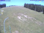 Archiv Foto Webcam Gemeindealpe Mitterbach 11:00