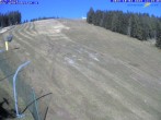 Archiv Foto Webcam Gemeindealpe Mitterbach 11:00