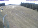Archiv Foto Webcam Gemeindealpe Mitterbach 11:00