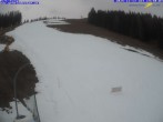 Archiv Foto Webcam Gemeindealpe Mitterbach 13:00