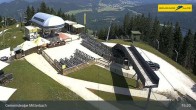Archiv Foto Webcam Berghütte s&#39;Balzplatzerl Gemeindealpe Mitterbach 14:00