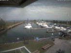 Archived image Webcam Marina Rheinhof Altenrhein at Lake Constance 11:00